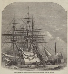 Hospitalschiffe für die Abessinien-Expedition, ausgerüstet in den Victoria Docks