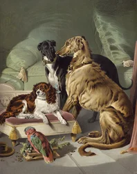 Dash, Hector, Nero und Lory