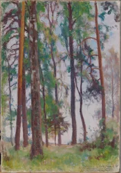 Kiefern