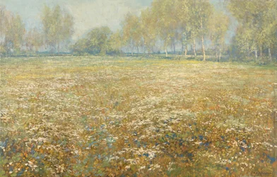 Blühende Wiese