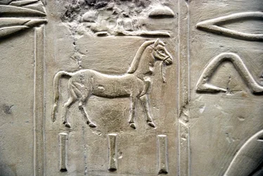 Ägyptische Antiquität: Darstellung eines Pferdes. Flachrelief aus dem Grab des Wesirs Ramose (18. Dynastie). Luxor, Theben, Tal der Adligen Ägypten