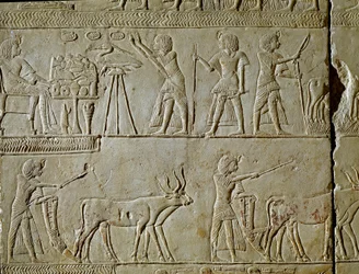 Ägyptische Antike: Szenen der Feldarbeit und Opfergaben an den Pharao. Detail eines Reliefs aus dem Grab von Horemhed (ca. 1323-1293 v. Chr.), königlicher Schreiber von Tutanchamun. 1354-1326 v. Chr. Bologna, Civico Museo Archeologico