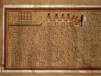 Papyrus des 