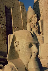 Kolossaler Kopf von Ramses II. (1298-32 v. Chr.) Neues Reich