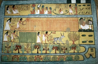 Ägypten, Theben, Dorf der Staatsarbeiter in Dayr al-Madinah, Grab von Sennedjem, Fresko, das landwirtschaftliche Szenen in den Feldern von Ialu darstellt, Neues Reich, Dynastie XIX