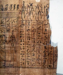 Das Totenbuch: Ägyptische Hieroglyphen auf einem Papyrus der 22. Dynastie. Detail. 9. Jahrhundert v. Chr. Turin, Ägyptisches Museum.