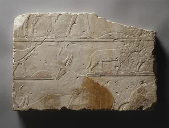 Relief mit Wüstentieren, Altes Reich, gefunden in Saqqara (ca. 2472-2455 v. Chr.) (bemalter Kalkstein)