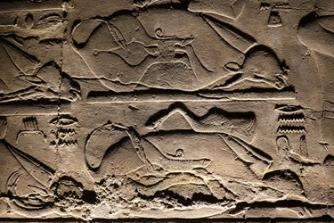 Luxor-Tempel: geopferte Kühe