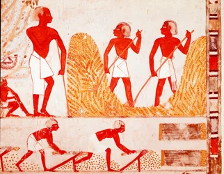 Ernteszene im Alten Ägypten