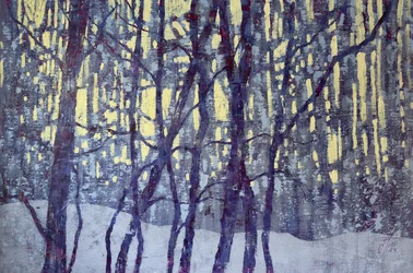Winterwaldlicht