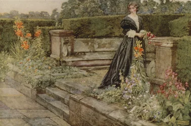 Gartenfantasien, der Name der Blume