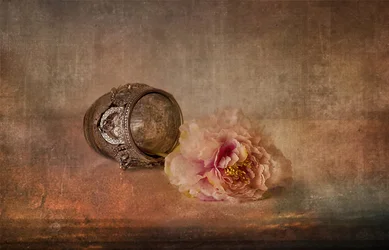 Rosa Pfingstrose und Andenken