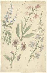 Vier Studien von rosa und blauen Blumen