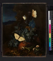 Stillleben mit Distel, Pilz, Schnecke, Eidechse, Schmetterlingen und einer Biene in einer Landschaft