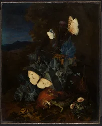 Stillleben mit Distel, Steinpilz, Schnecke, Eidechse, Schmetterlingen und einer Biene in einer Landschaft