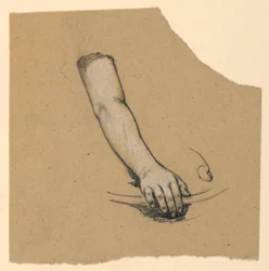Studie von Hand bis Mitte Bizeps