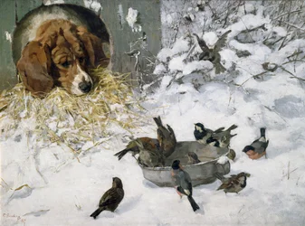 Wintergäste