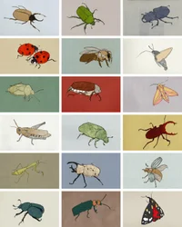 Insekten