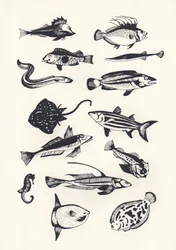 Monotone Ebene Fisch, 2015