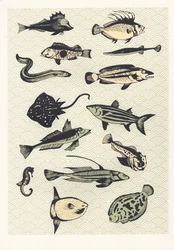 Gelber Japanischer Fisch, 2016