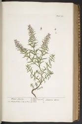 Tafel 318, aus 