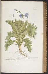 Tafel 378, aus 