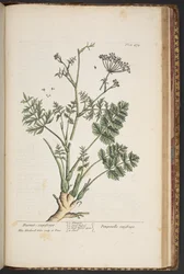 Tafel 472, aus 