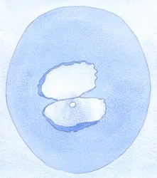 Durch unsere Taten und Worte können wir andere Herzen öffnen, um die freien Gaben oder 