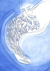 Vor Gott sind kleine Babys, die vor oder nach der Geburt sterben, wie Sternschnuppen, die kurz aufleuchten und dann vom Himmel fallen