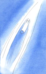 Im Gebet können wir wie ein Pfeil zu Gott aufsteigen, 2002