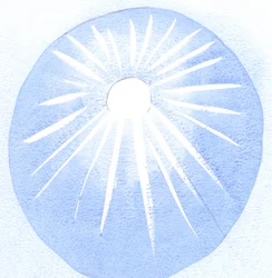 Wer dankbar für die Sonne ist, ist dankbar für ihre Wärme und ihr Licht, so sollte auch derjenige, der Gott liebt, Gottes Willen lieben.