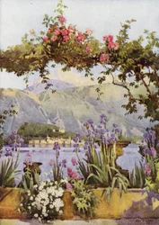 Ein Garten in Cadenabbia, Lago di Como