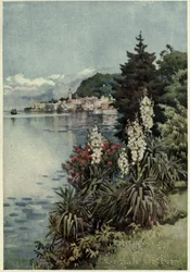 Eine Gruppe von Yuccas, Villa Melzi, Lago di Como, Illustration aus 
