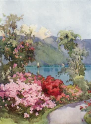 Azaleen, Lago di Como
