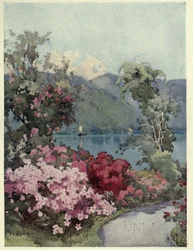 Azaleen, Lago di Como, Illustration aus 