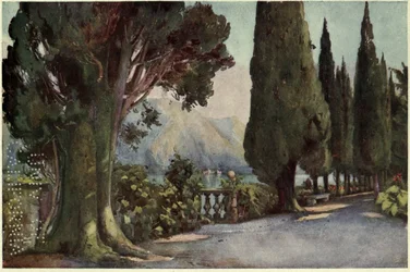 Zypressenallee, Villa del Pizzo, Lago di Como, Illustration aus 