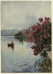 Oleander, Lago di Como, Illustration aus 