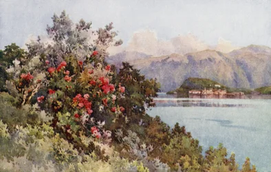 Rosen, Villa Carlotta, Lago di Como