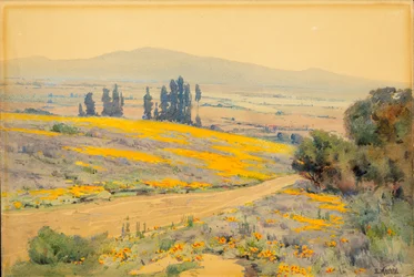 Kalifornische Frühlingslandschaft