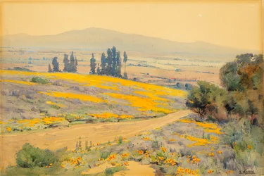 Frühlingslandschaft in Kalifornien