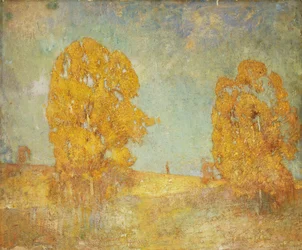 Sonnenbeschienene Landschaft