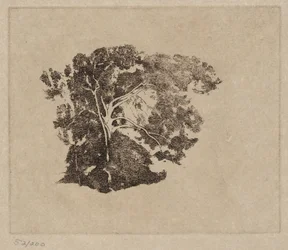 Baumstudie