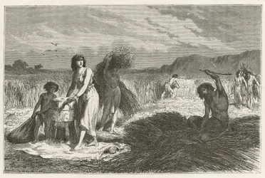 Die Landwirtschaft in der Eisenzeit