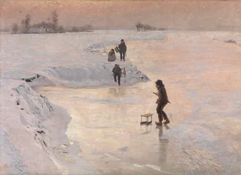 Die Eisvögel