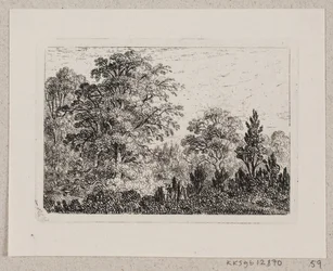 Waldlandschaft