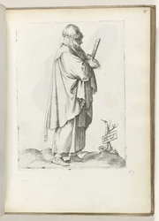 Hispana rustica mul