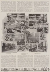 Eine britische Lektion