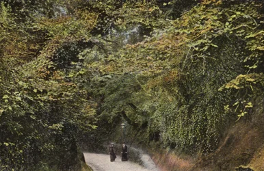 Schlucht Hohl, Shanklin