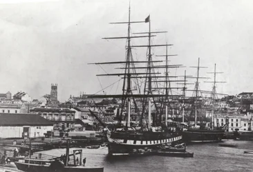 Große Victoria