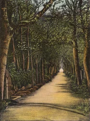 Vinchelez Lane, Jersey